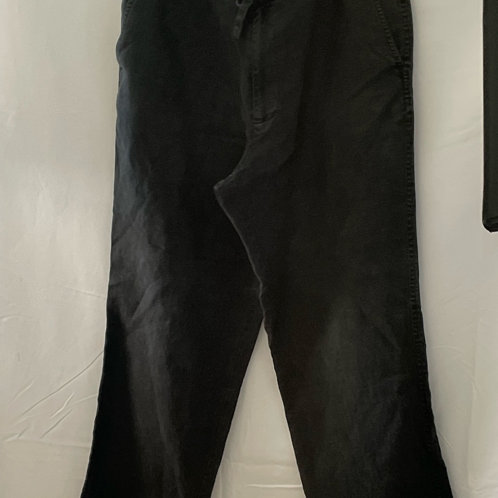 Tasso Elba Pants